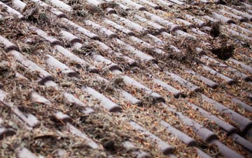 Fron Isaf roof cleaning companies